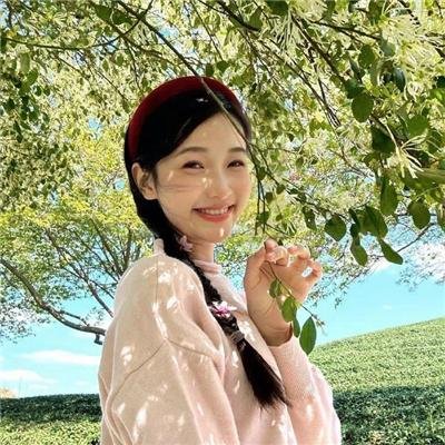 好莱坞狗日子