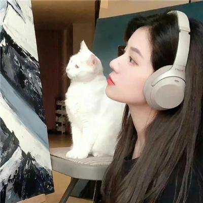 龙牌之谜